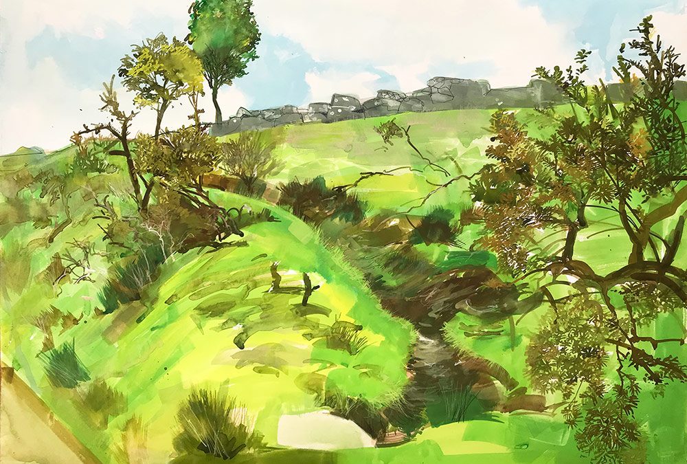 Gullies and Gorse Dartmoor