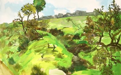 Gullies and Gorse Dartmoor