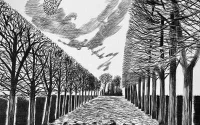 The Anxious Garden #2